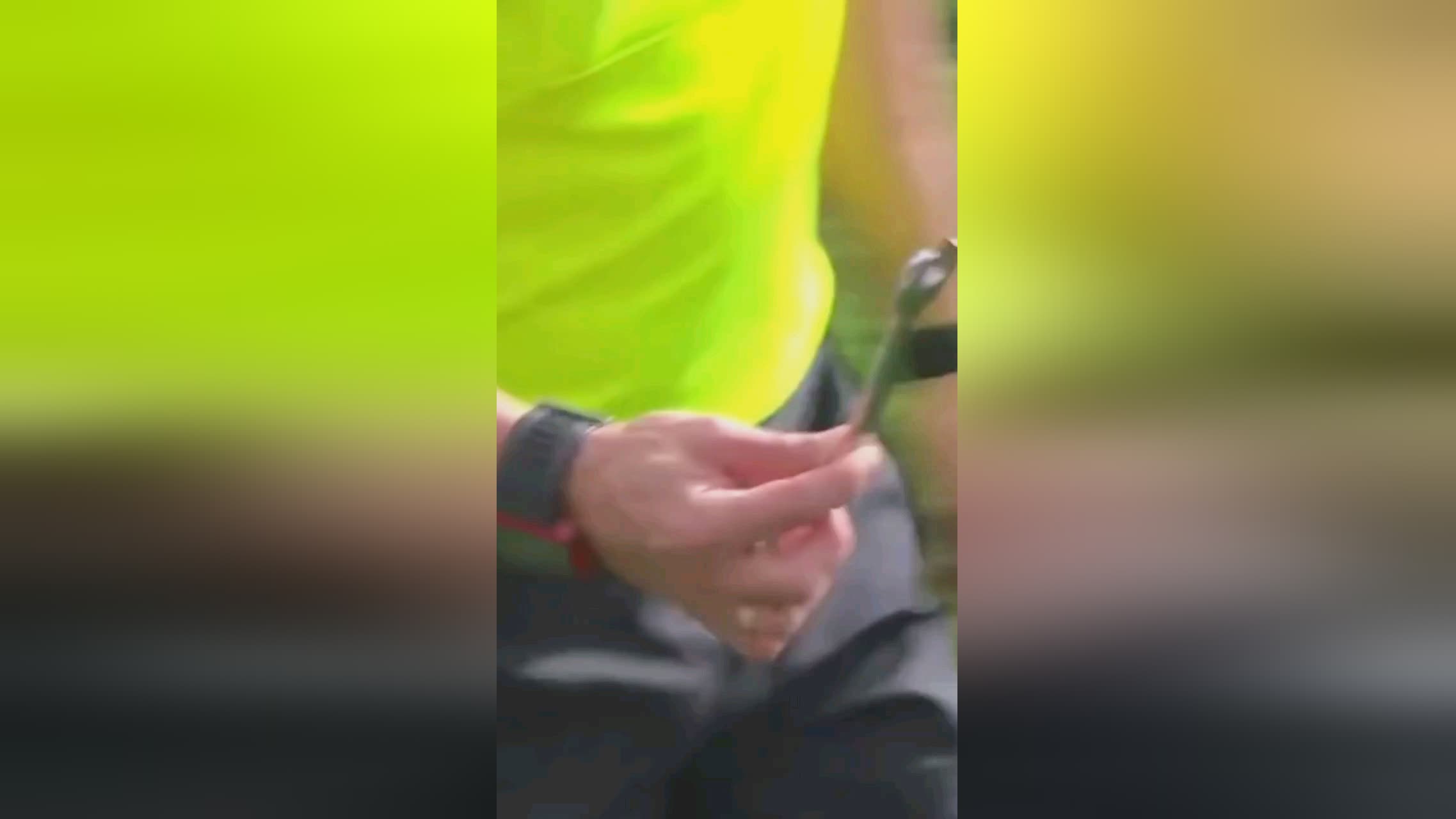 动态希望